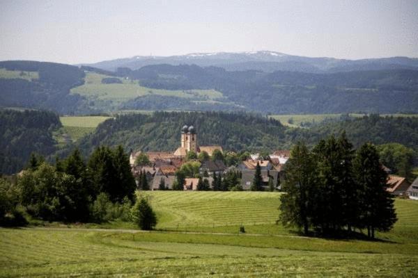 Gaestehaus Wald Und See Titisee-Neustadt Exteriér fotografie